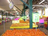 Canino Farmers Market 2520 Airline  (7).JPG